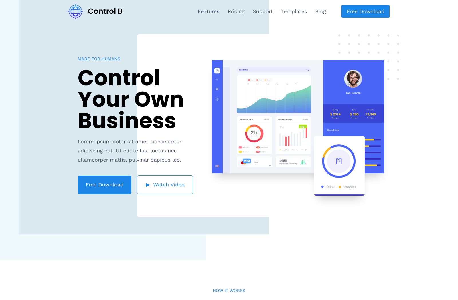 Preview of the Control B template