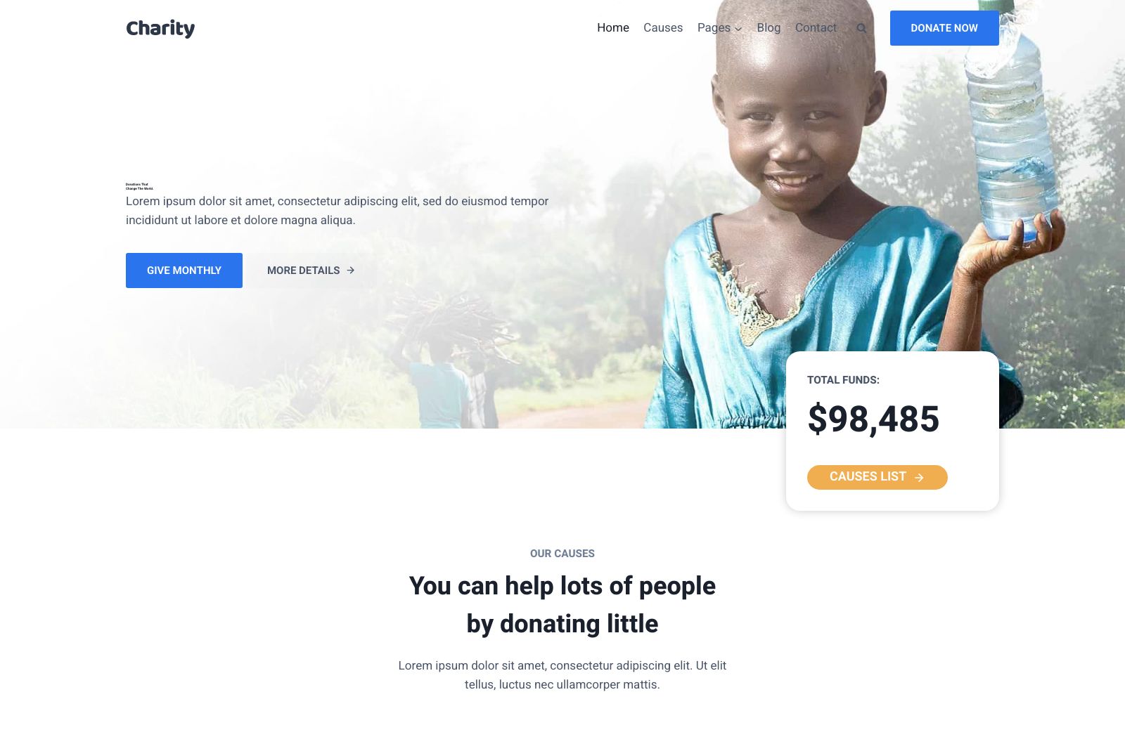 Preview of the Charity template