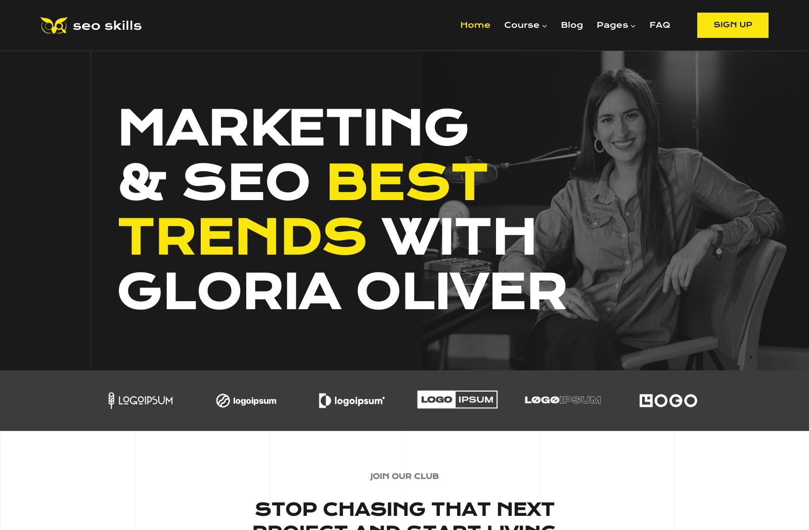 Preview of the SEO Skills template