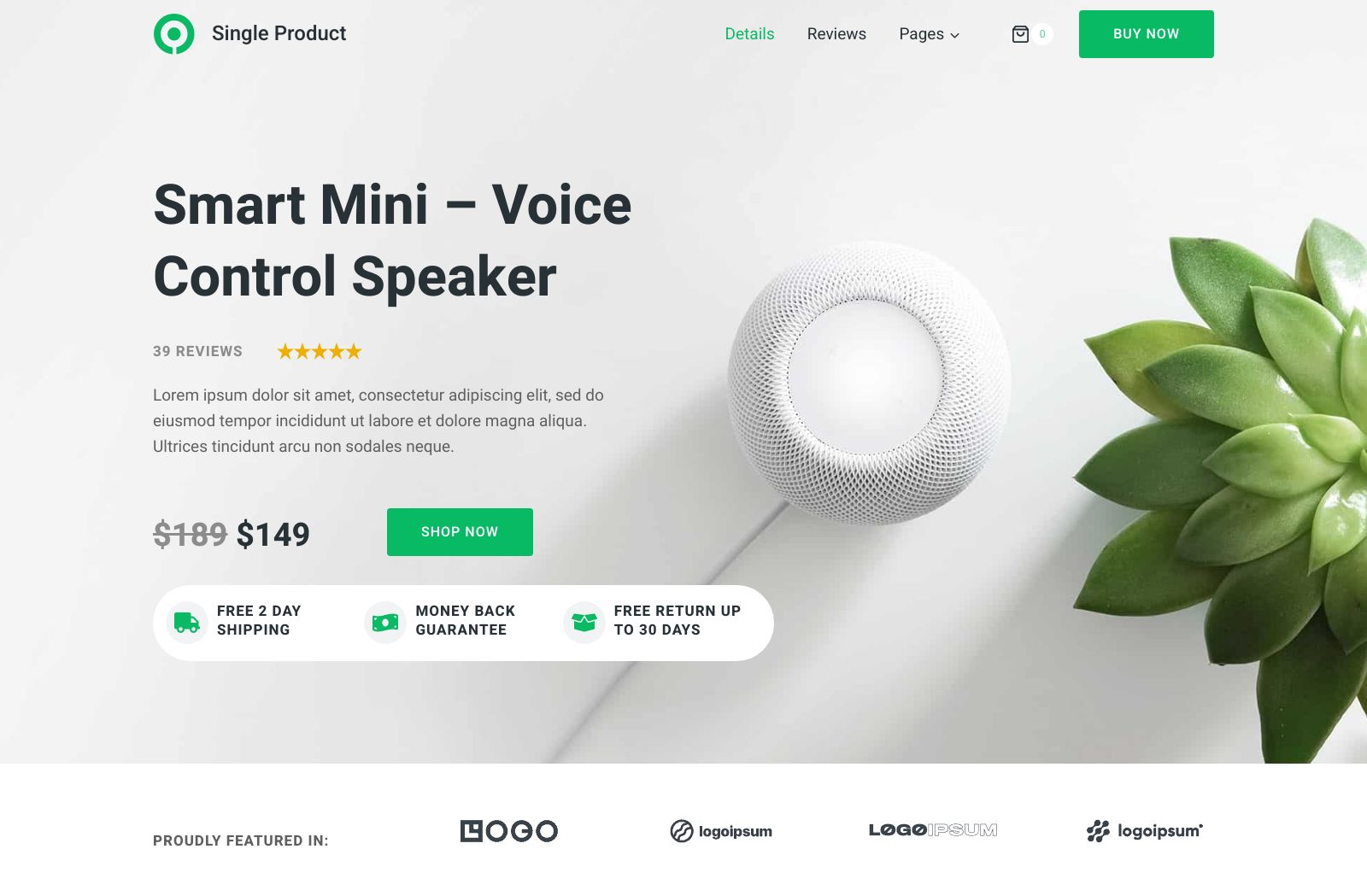 Preview of the Single Product template