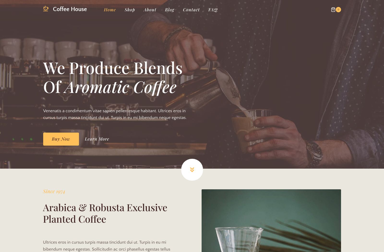Preview of the Coffee Roaster template