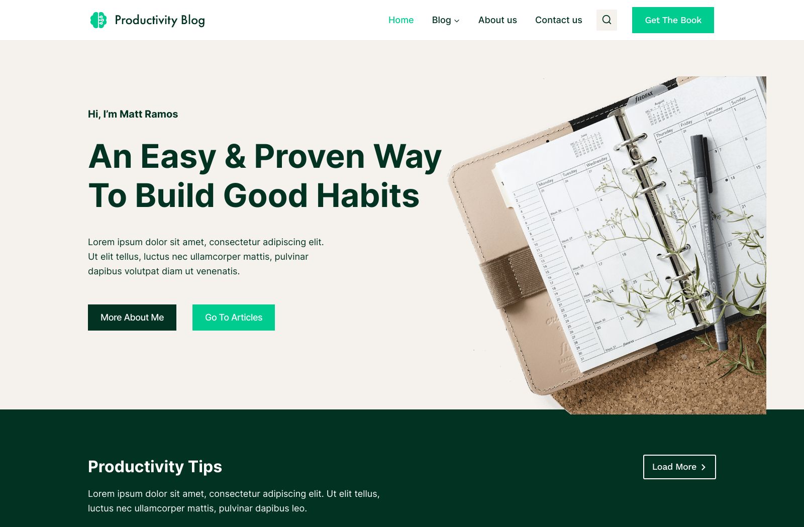 Preview of the Affiliate Blog template