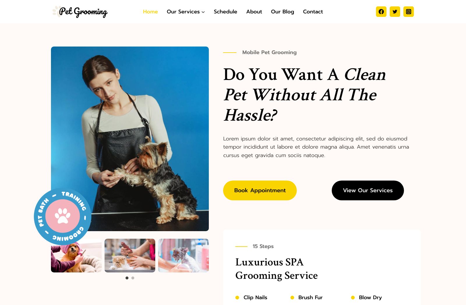 Preview of the Pet Groomer template