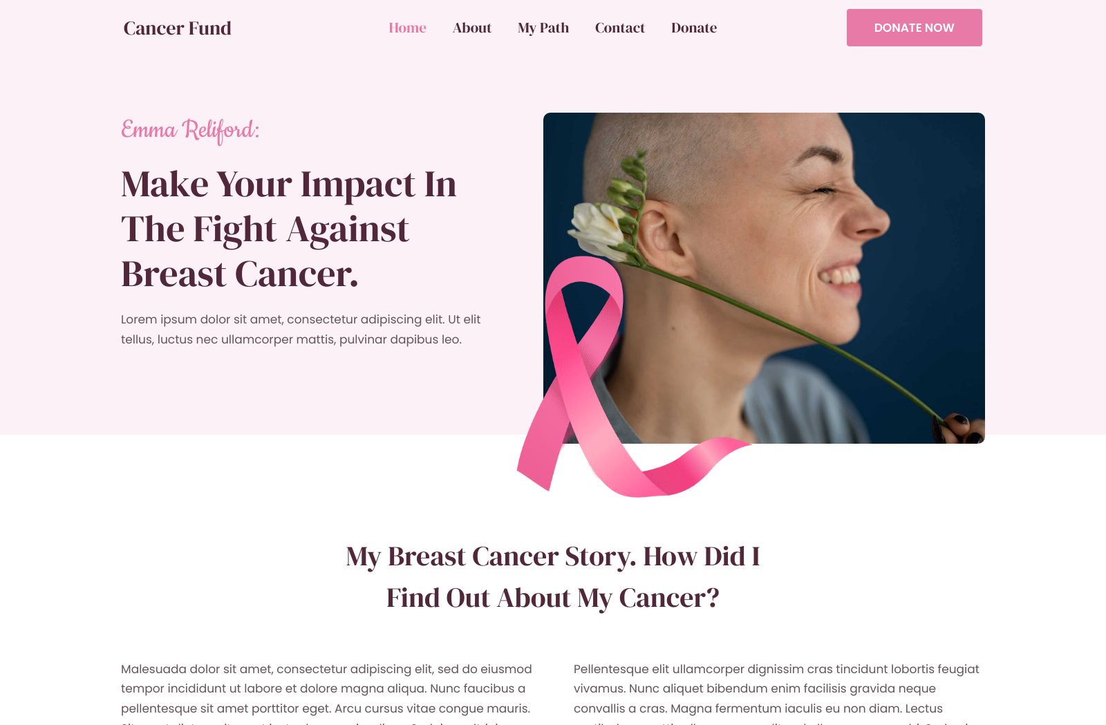 Preview of the Cancer Fund template