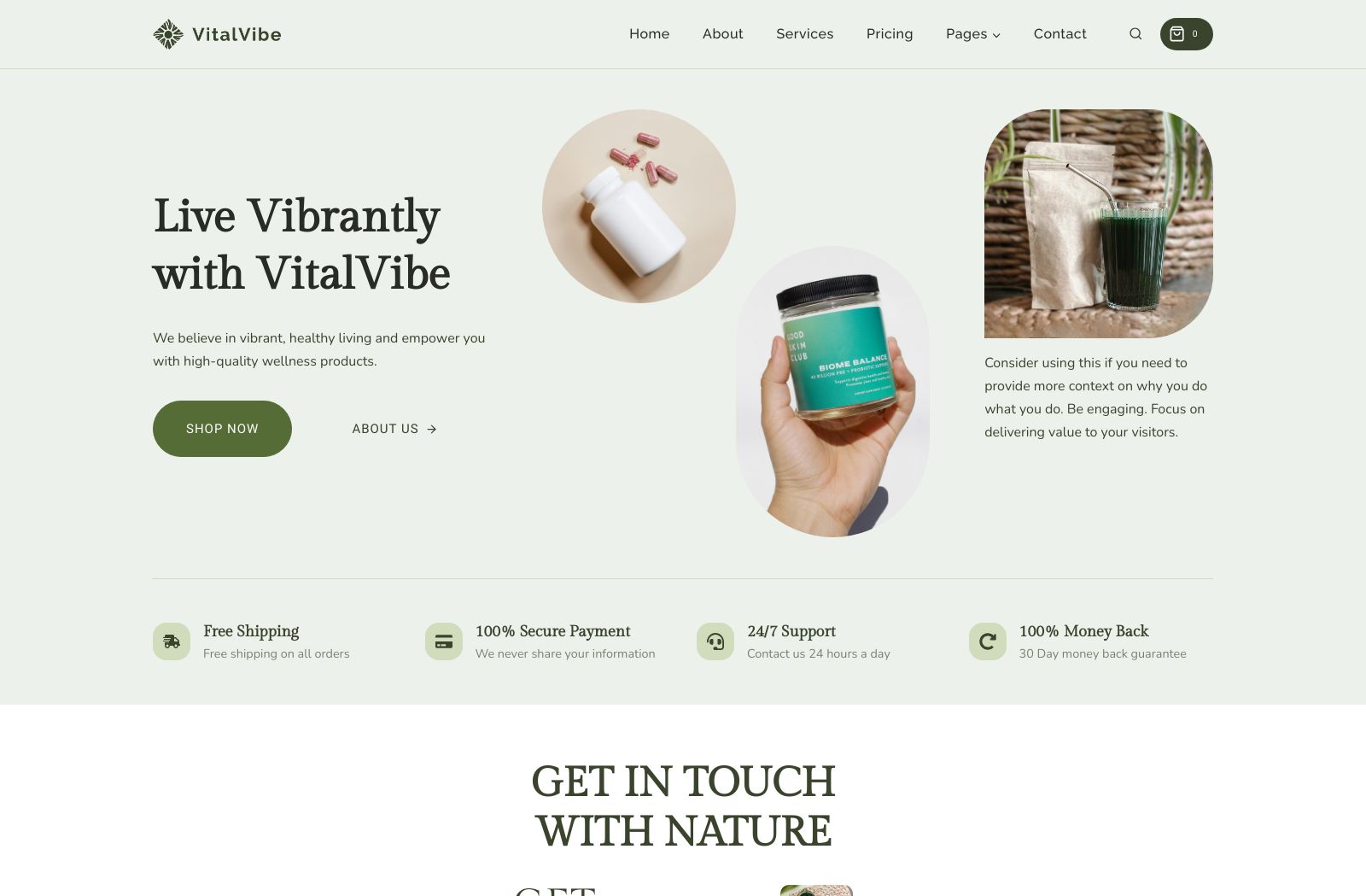 Preview of the VitalVibe template